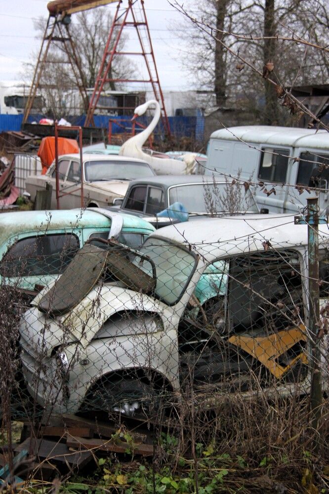 Photograph by Nikita Zorin