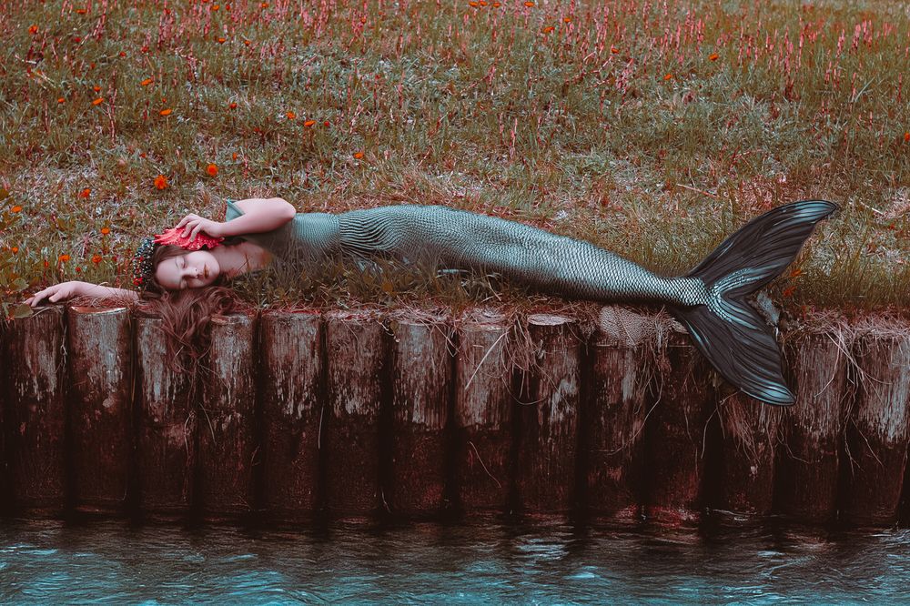 Фотография автора Ольга Матвеева