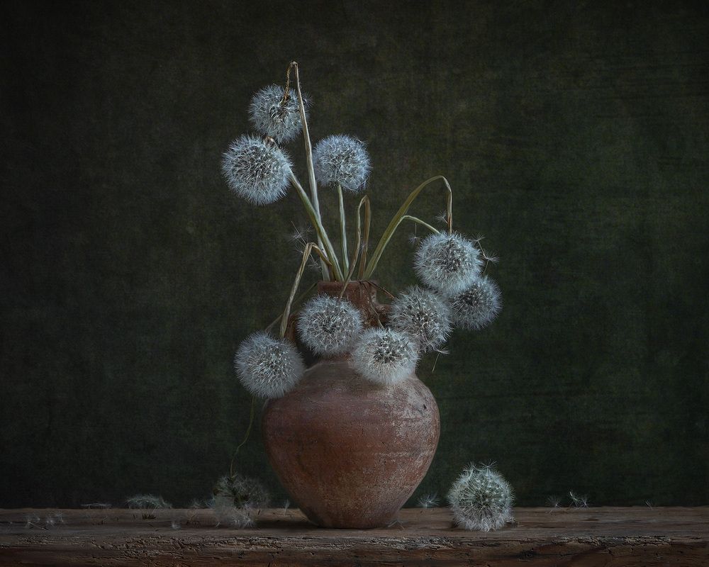 Photograph by LYUDMYLA POKRYSHEN