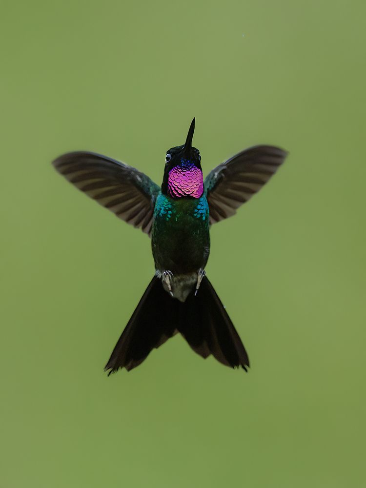 Photograph by Sreejith Sreedharan