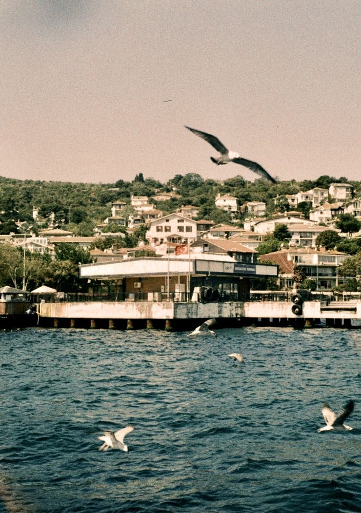 Фотография автора Постельный Дмитрий