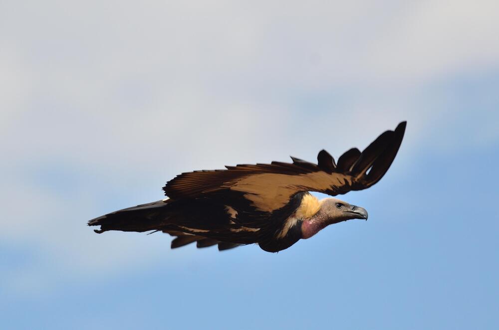 Photograph by Madhav Prakash