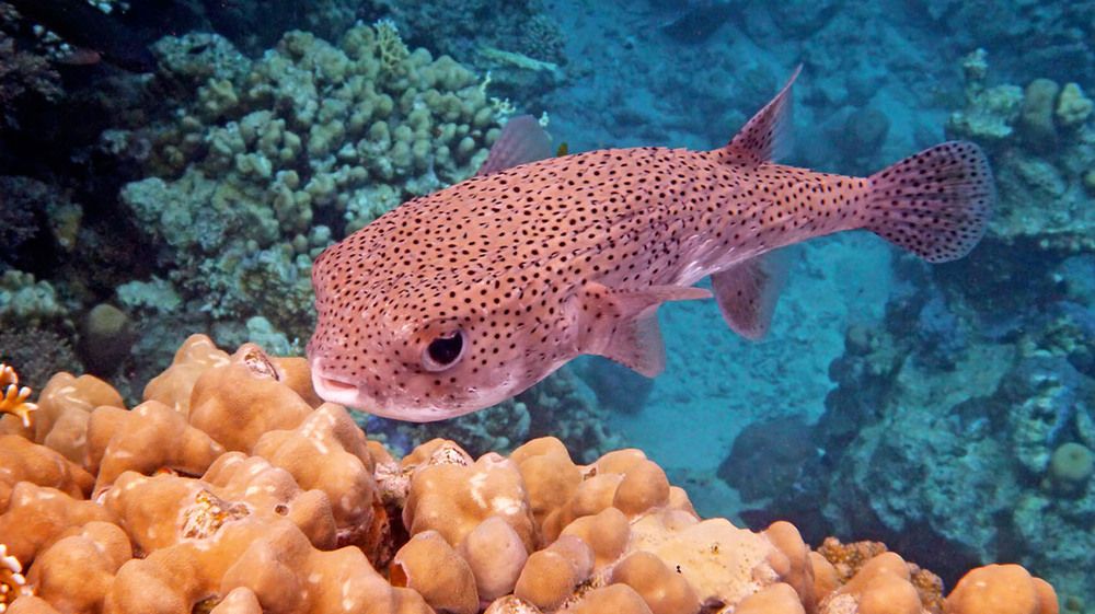 Photograph by Marjo Steffen