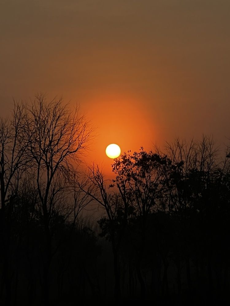Silhouette with sunset