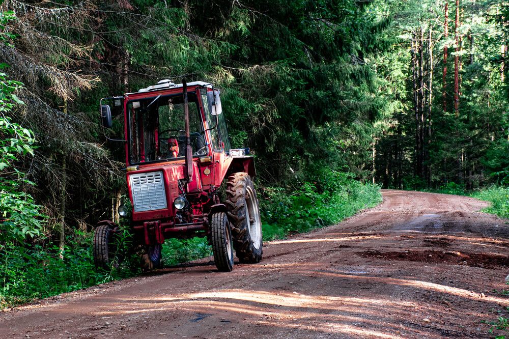 Photograph by Людмила Баймухаметова