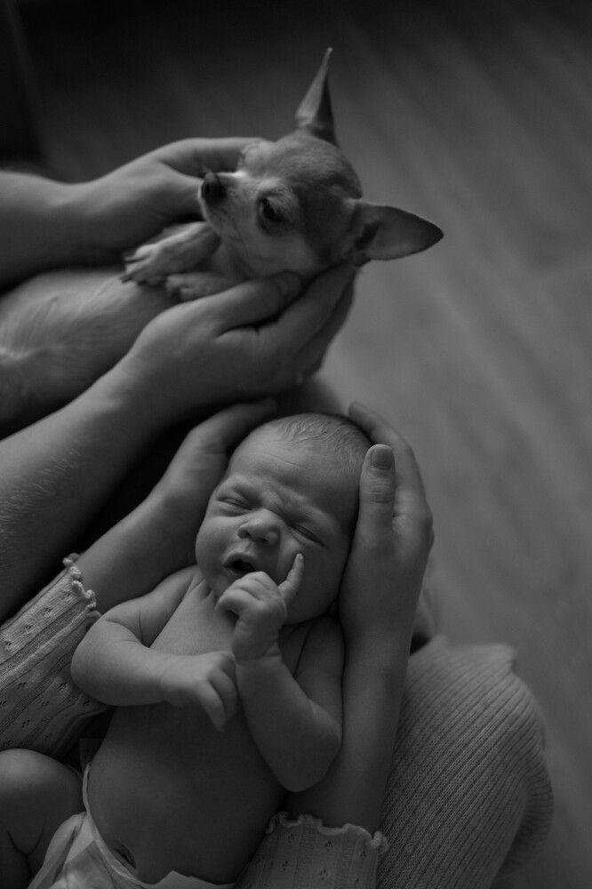 Photograph by Марина Мужиченкова