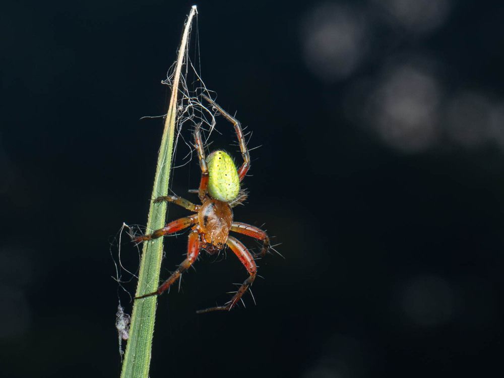 Photograph by Андрей Мичурин