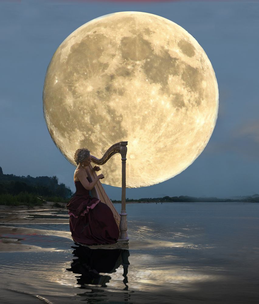 Photograph by Александр Рудаков