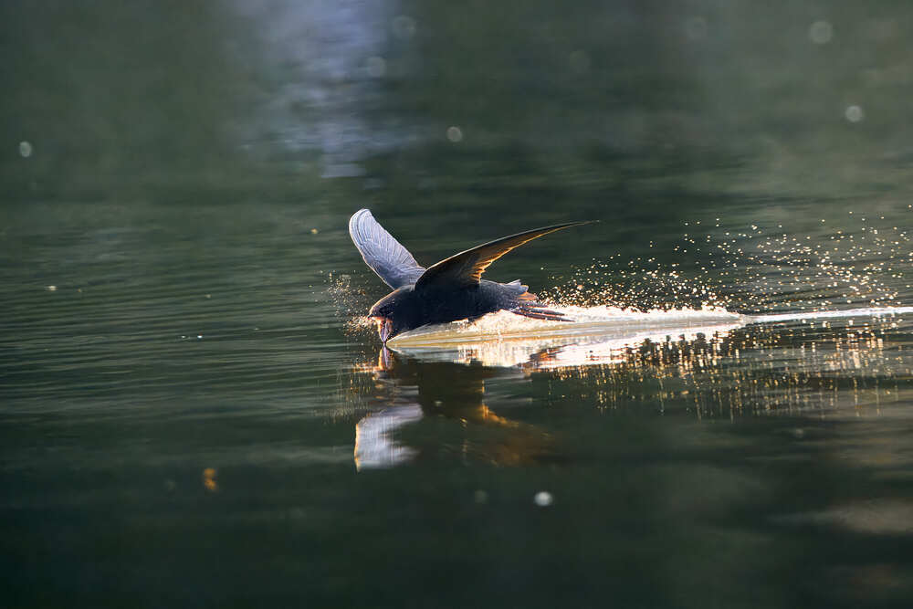 Photograph by Mikhail Khmelevskiy