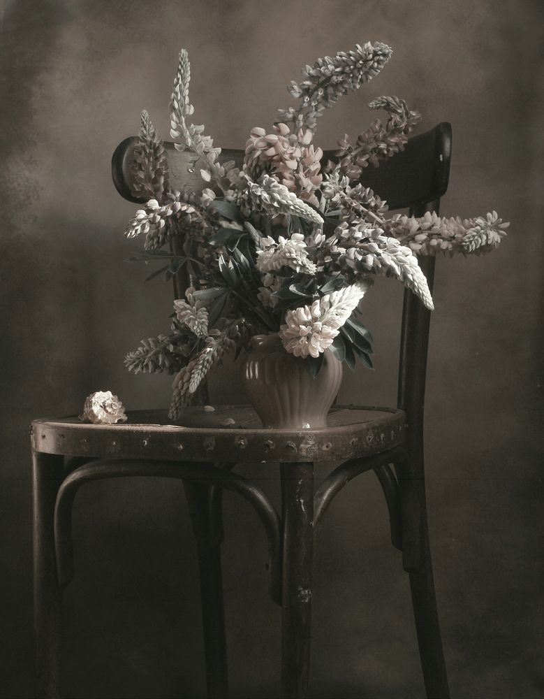 Photograph by Валентина Евсеева