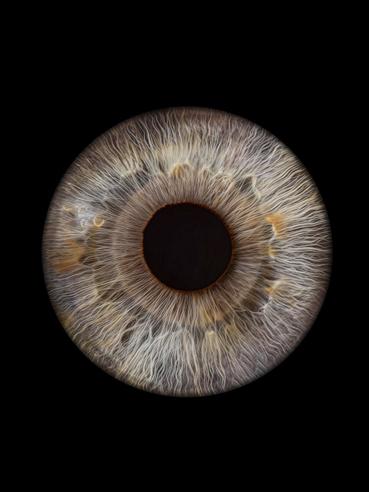 Photograph by Игорь Толкачев