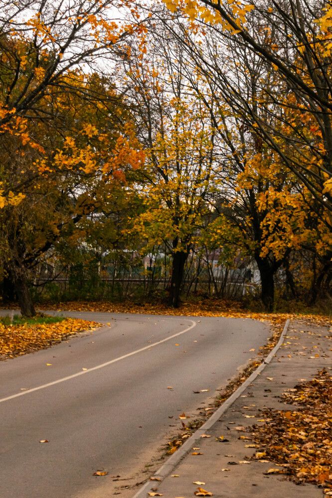 Photograph by Михаил Костыря