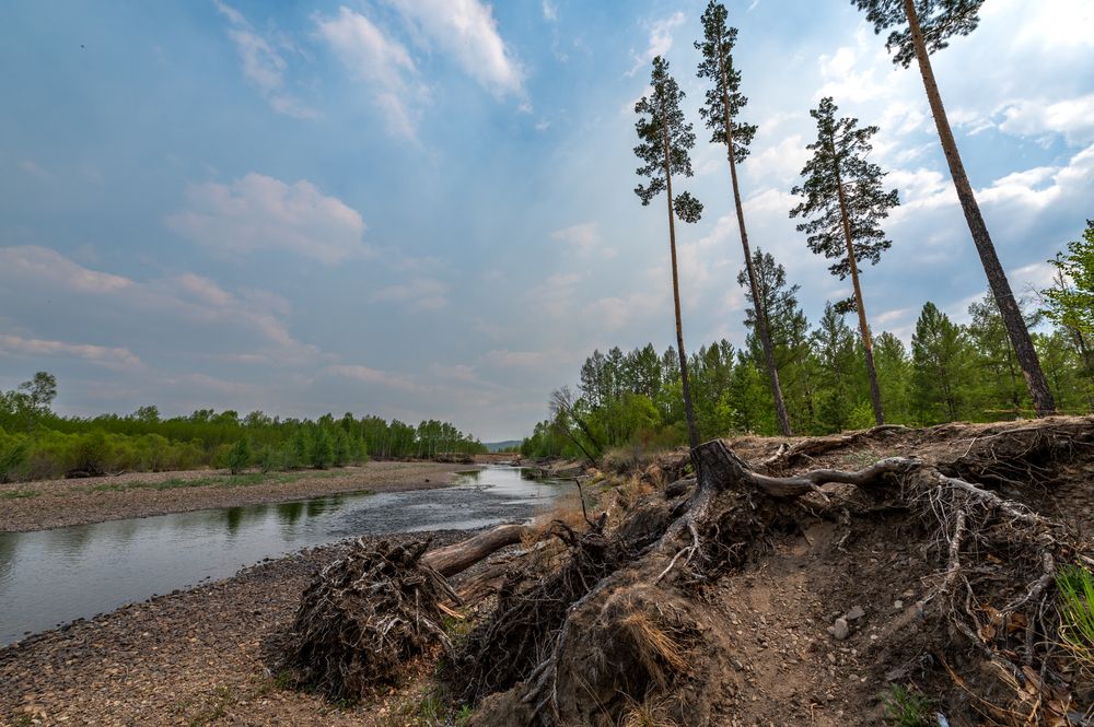 Photograph by Алексей Гончаров