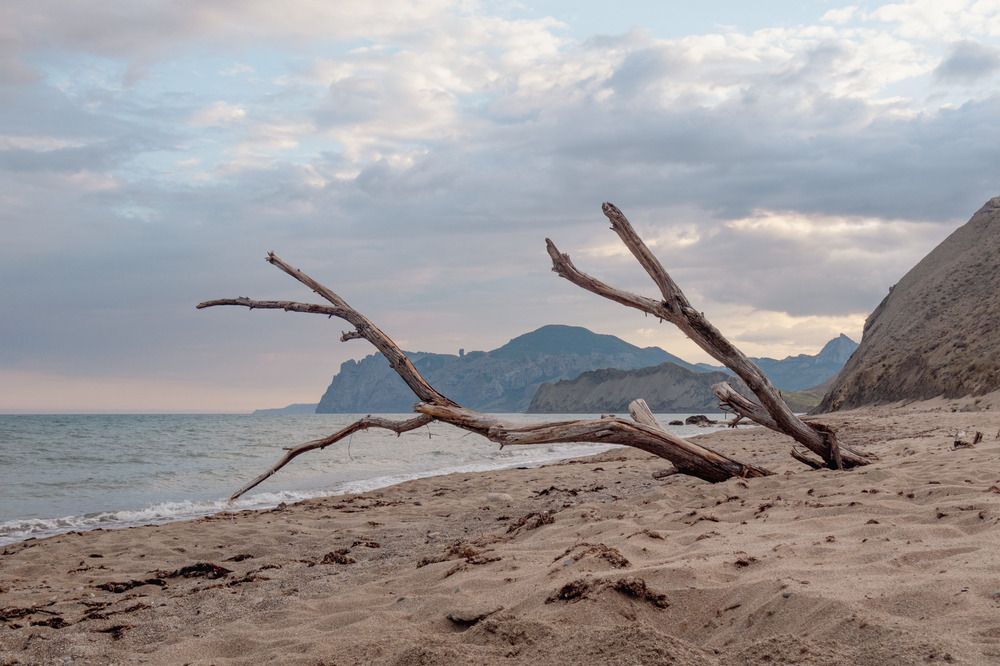 Тишина в Тихой Бухте