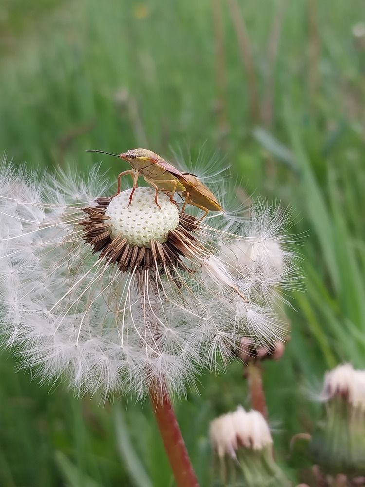 Photograph by Юлия Фирман