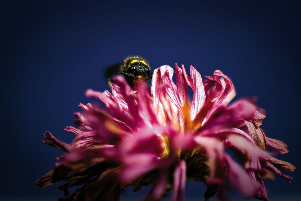 Photograph by Сергей Немчинов