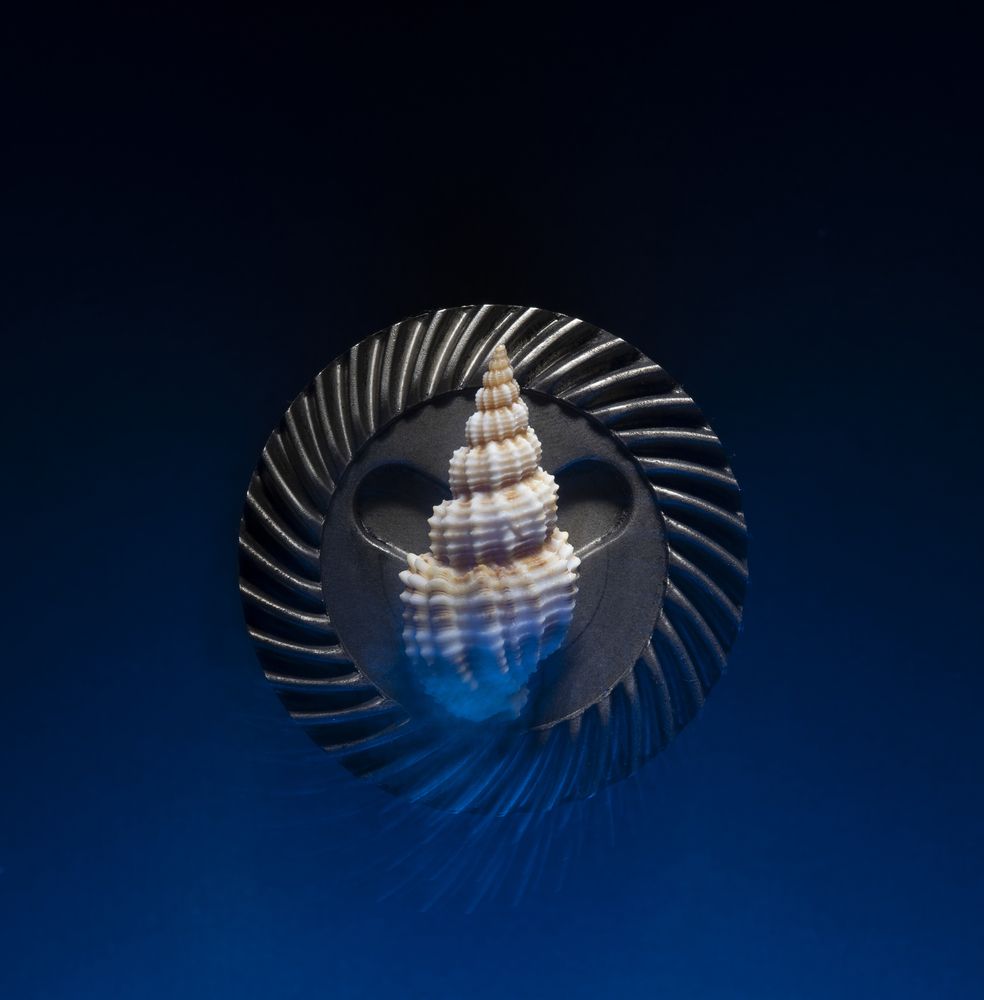 Photograph by Сергей Вальков