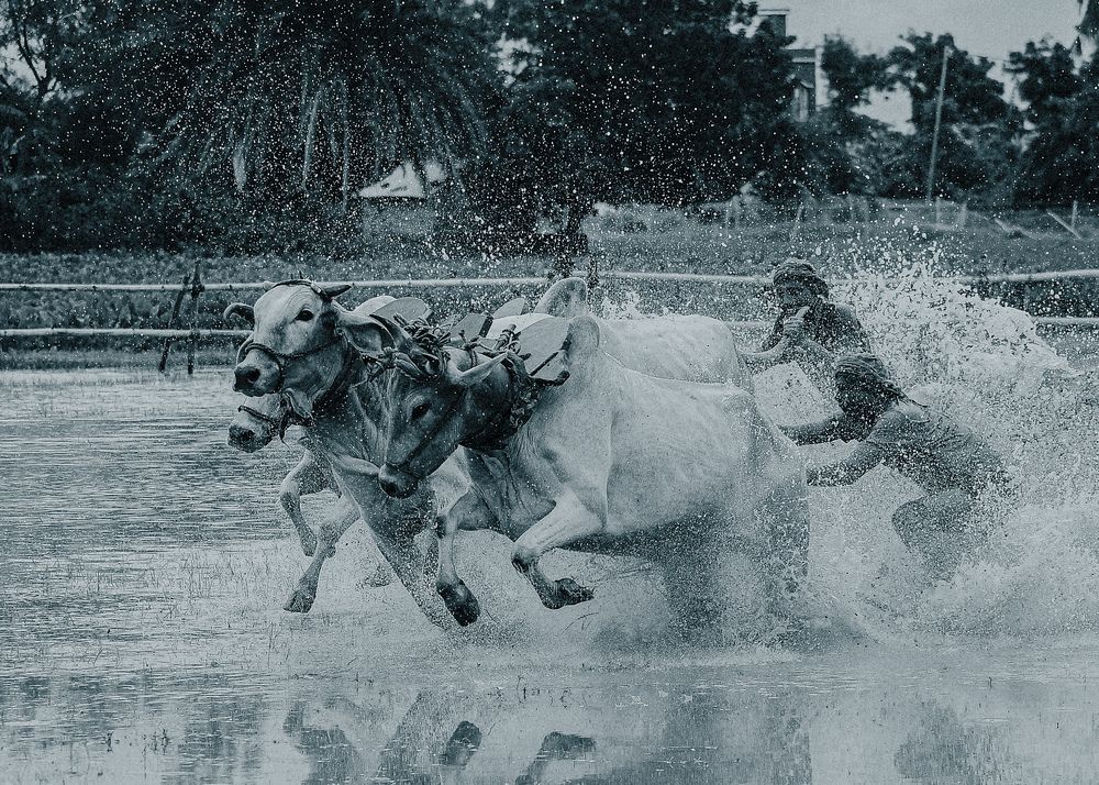 Фотография автора Abhishek Ghosh