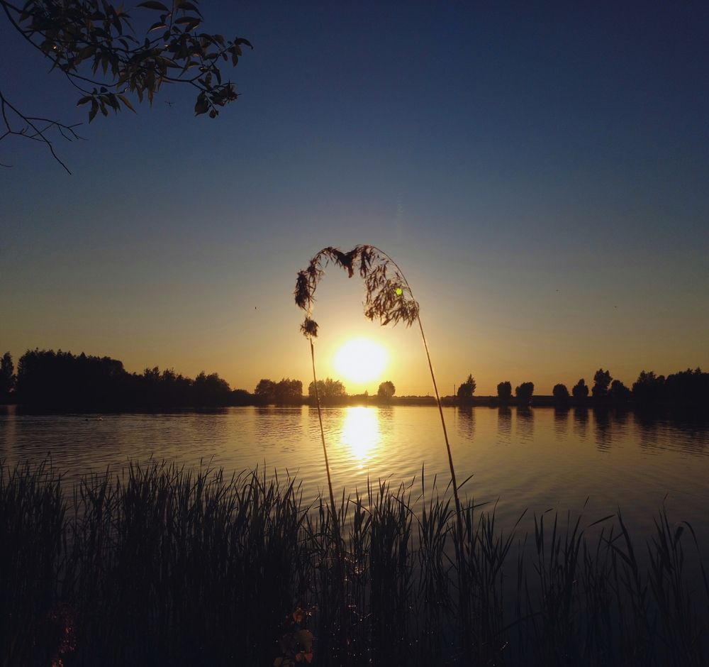 Photograph by Елена Фурашова
