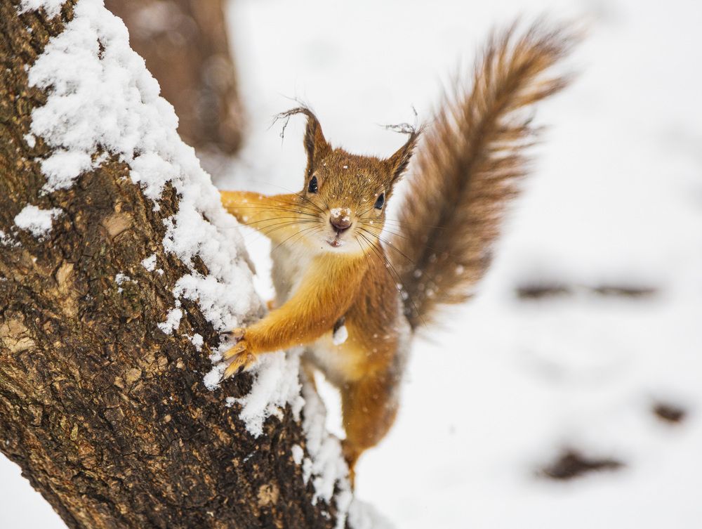 Фотография автора Каргин Валерий