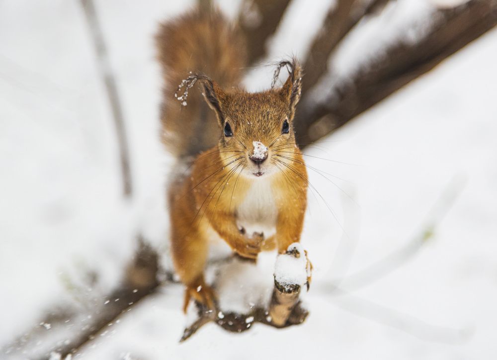 Photograph by Каргин Валерий