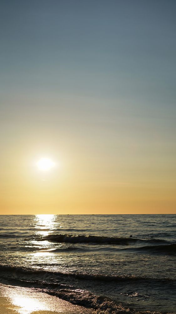 Фотография автора Алена Баулина