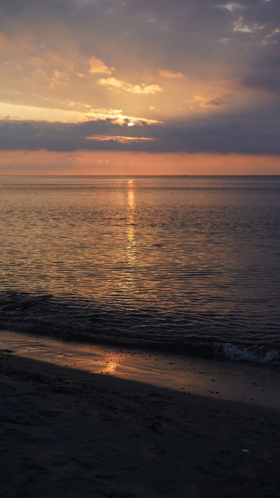 Фотография автора Алена Баулина