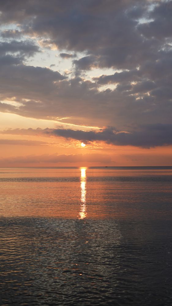 Фотография автора Алена Баулина