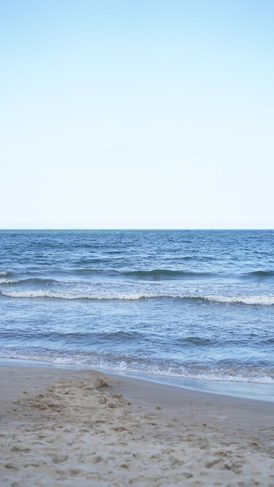 Фотография автора Алена Баулина