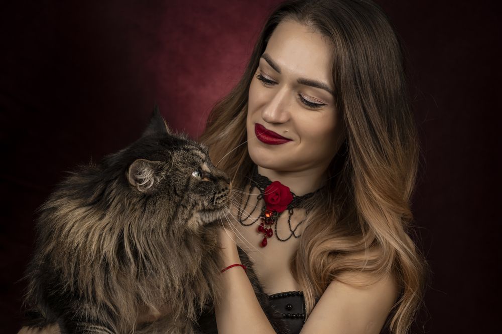 Фотография автора Сергей Чупахин