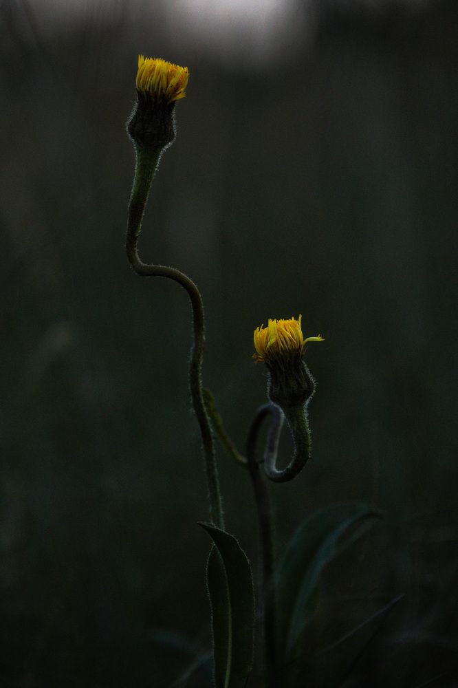 Photograph by Павел Гавриков