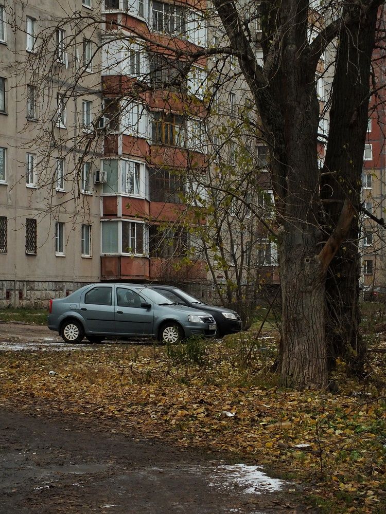 Фотография автора Андрей Шестаков