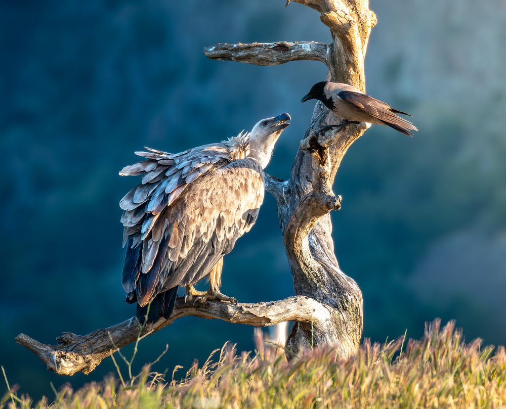 Фотография автора Olena Pfister