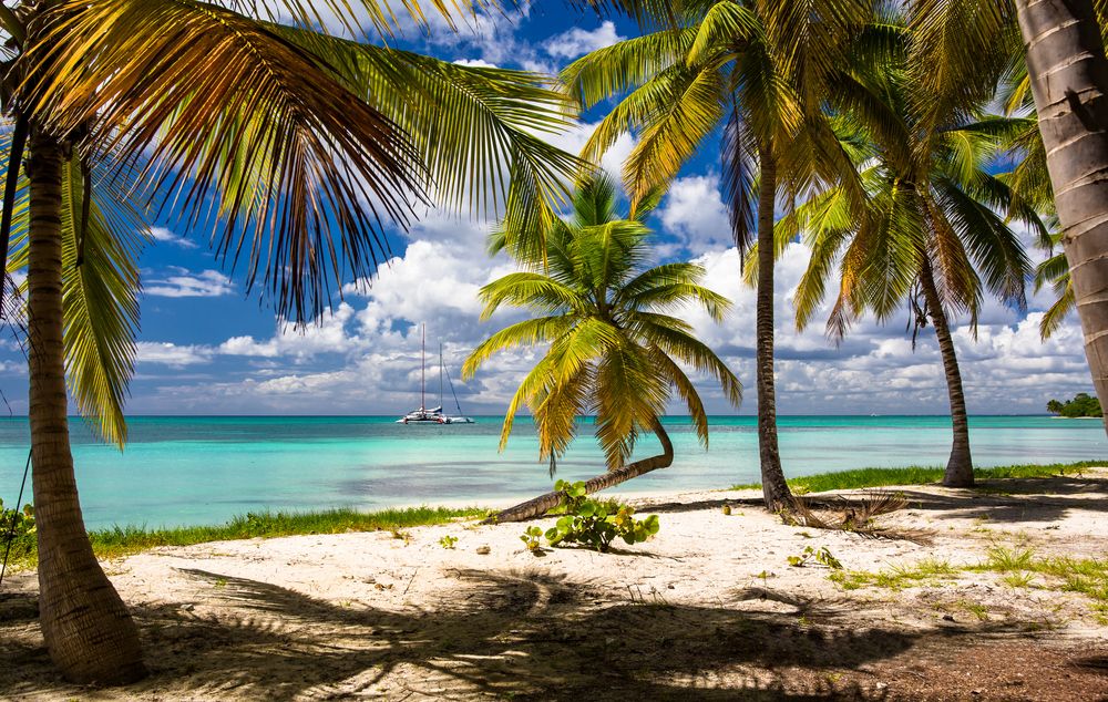 Photograph by Владимир Говоров