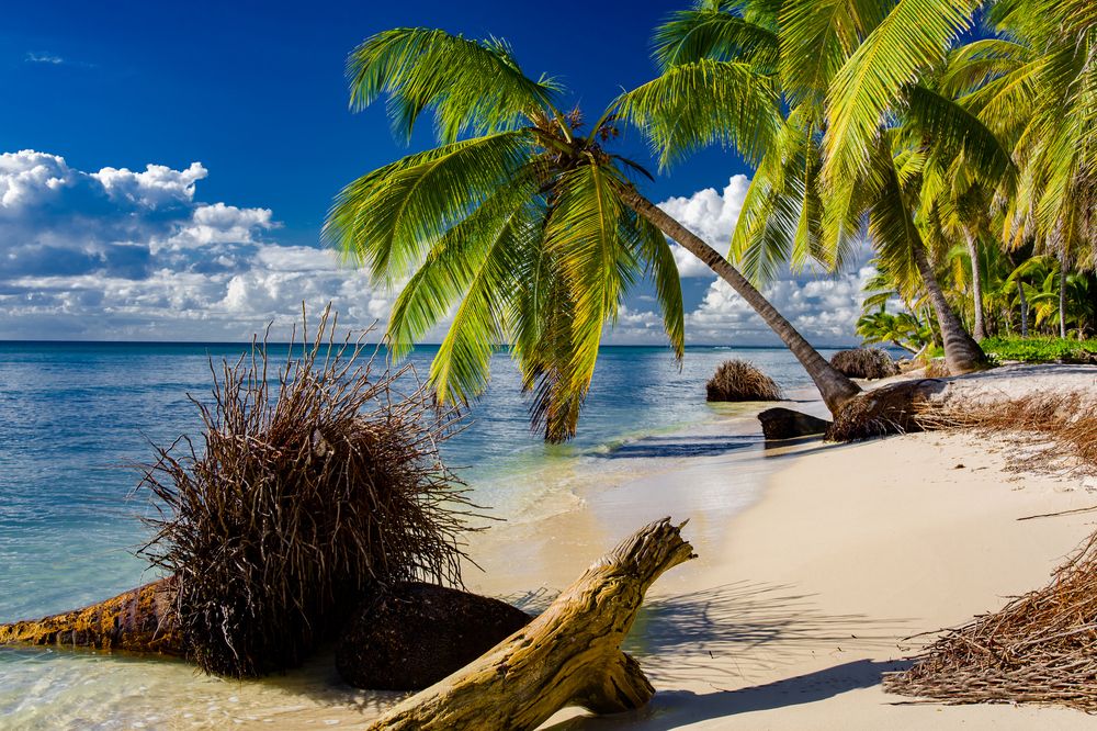 Photograph by Владимир Говоров