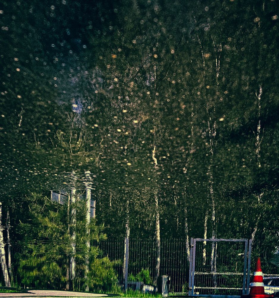 Photograph by Vol-de-M