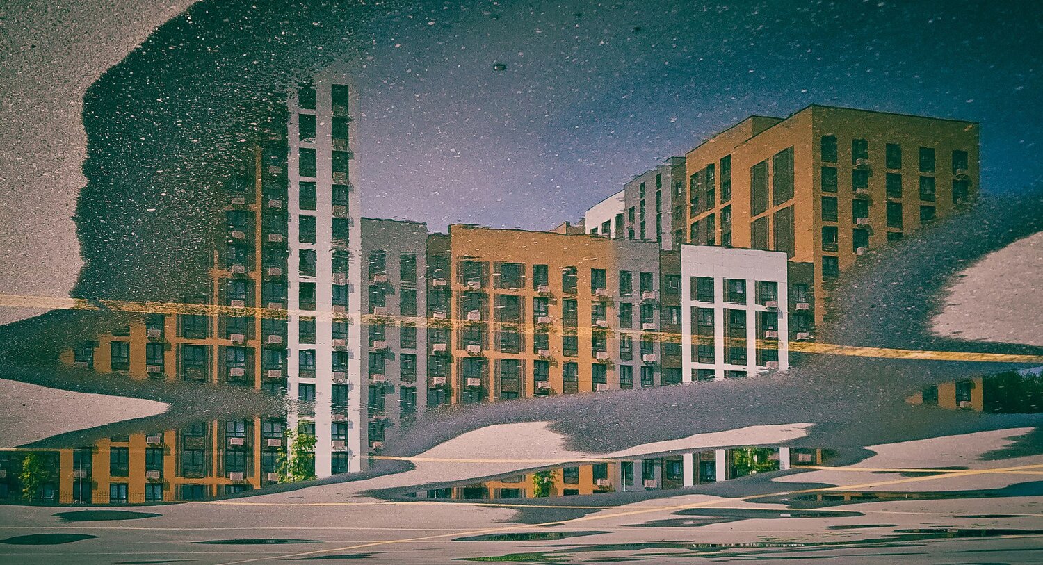 Photo #12275618