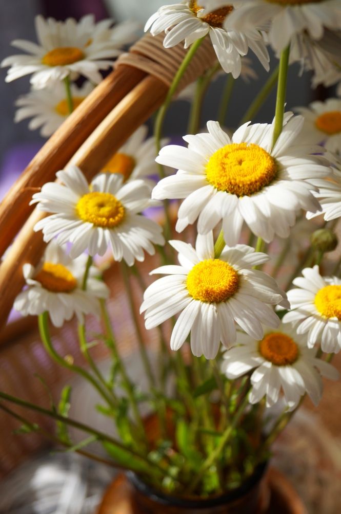 Photograph by Swetlana Smiryagina