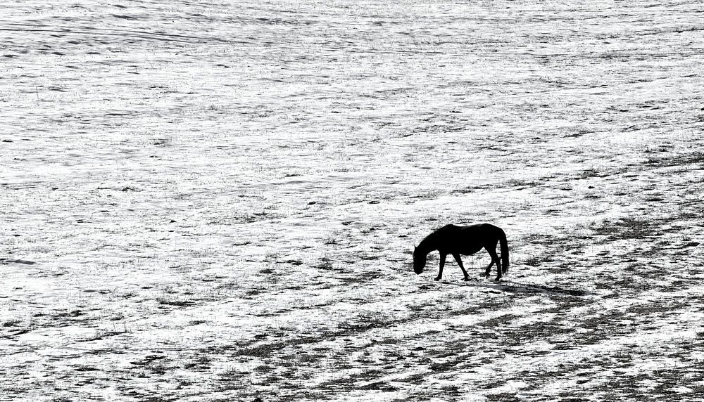 Photograph by Пирог Борис