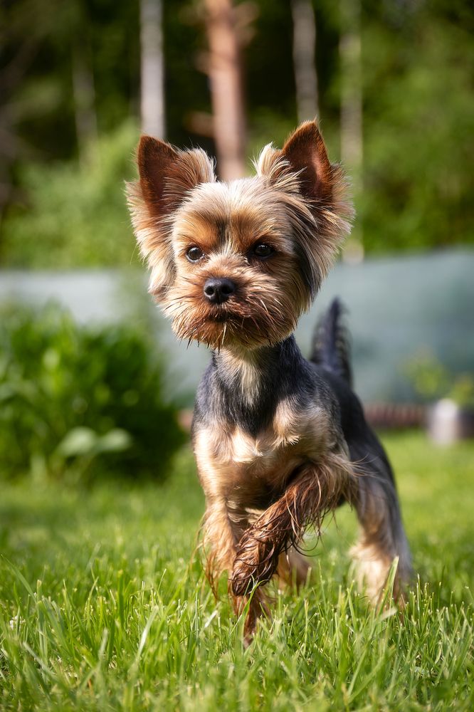 Photograph by Лев Постнов