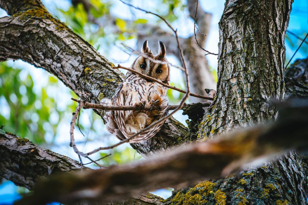 Photograph by Алексей