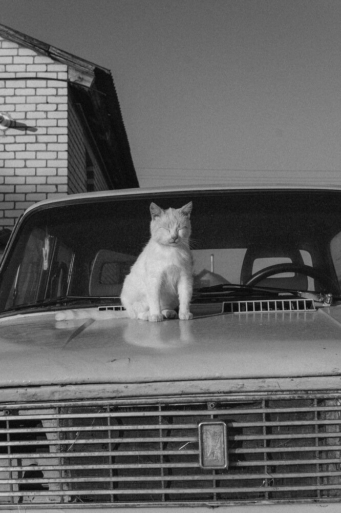 Photograph by Диана Козел