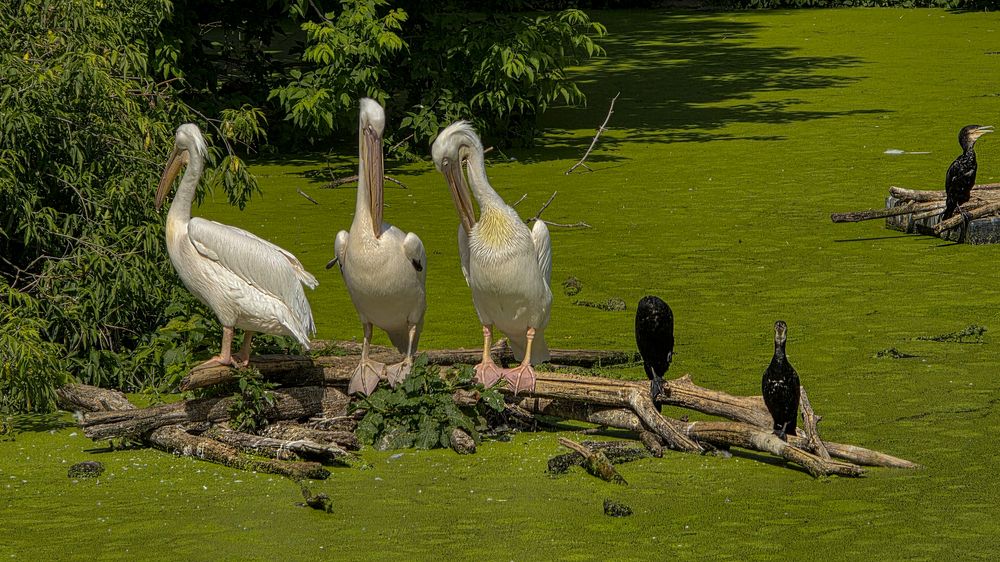 Photograph by Сушкевич Светлана