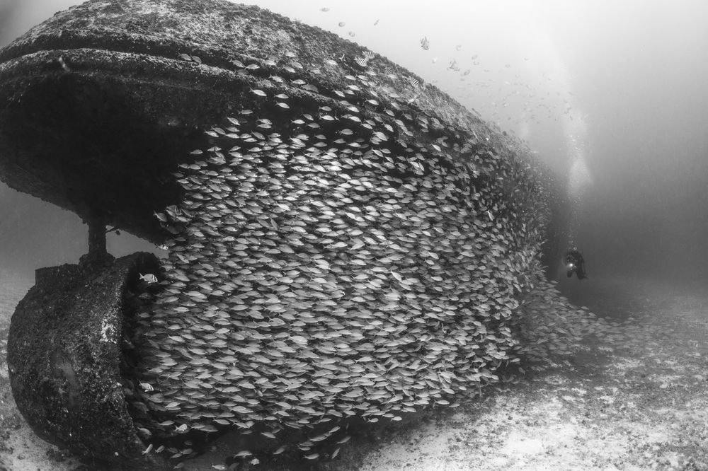 Photograph by Fabi Fregonesi