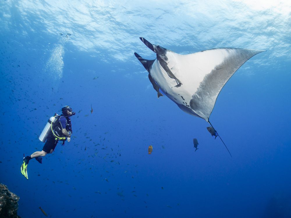 Photograph by Fabi Fregonesi