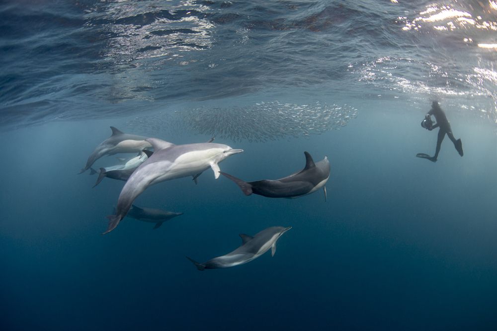 Photograph by Fabi Fregonesi