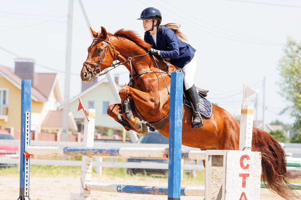 Фотография автора Елена Гордиевская