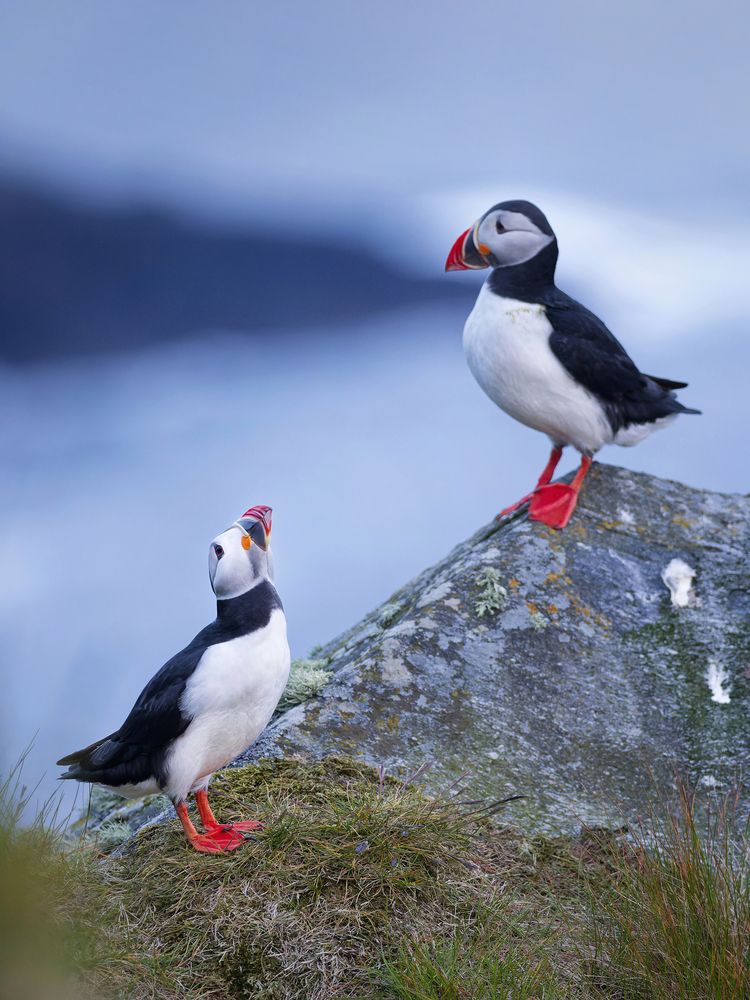 Photograph by Jørgen Hovde