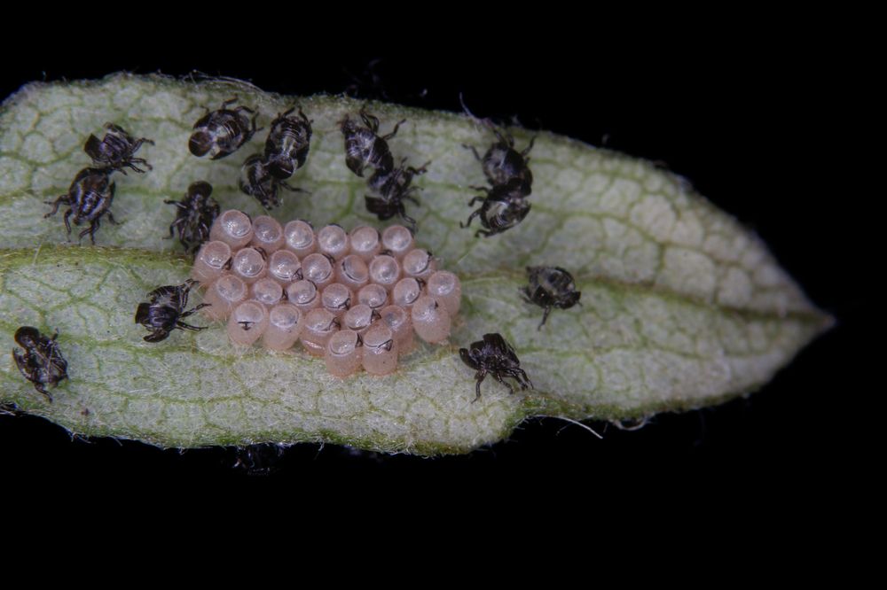 Фотография автора Yakup Temel