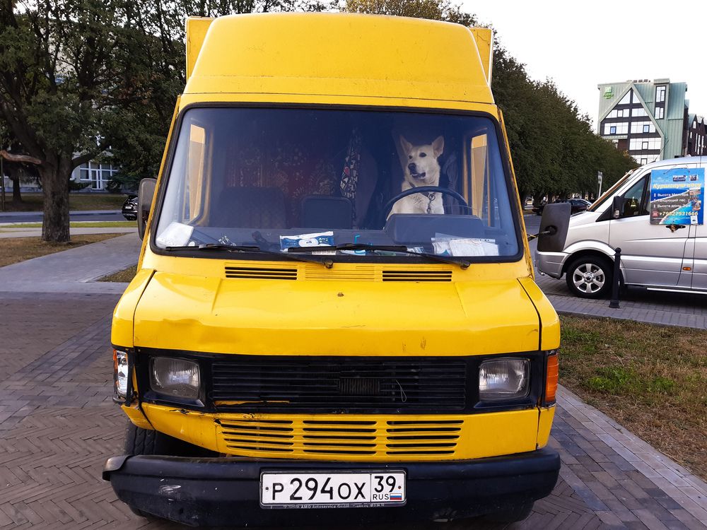 Photograph by Людмила Сергеева